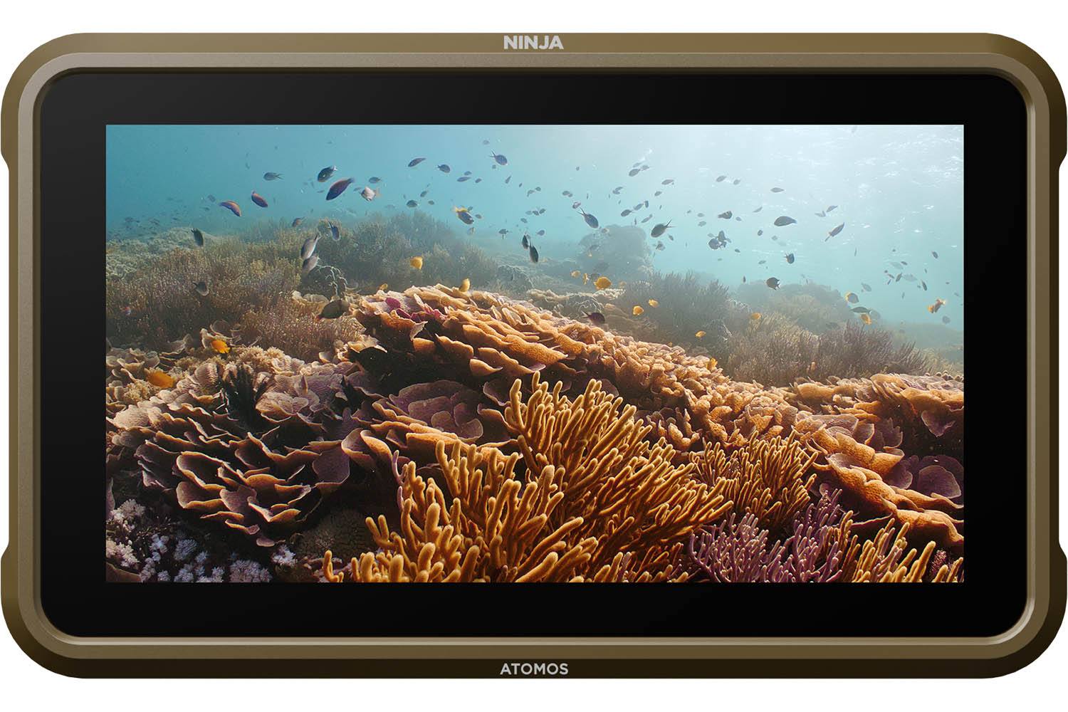 Atomos Ninja Monitor-Recorder - Thumbnail 4