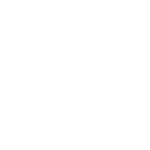 SDI Camera