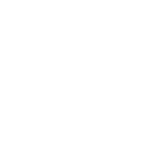 Smart Phone / Tablet